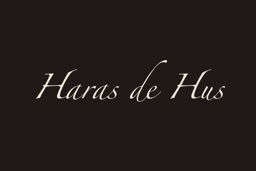 Vidéos SOLIMAN DE HUS et ARISTIDE DE HUS au Salon des Etalons de Saint Lô (50)