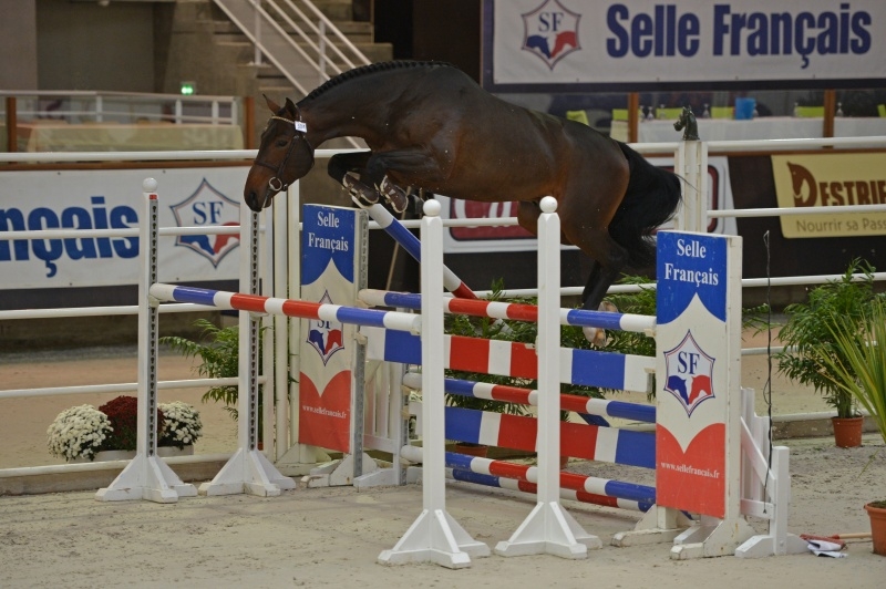 ARISTIDE DE HUS vendu en Belgique !