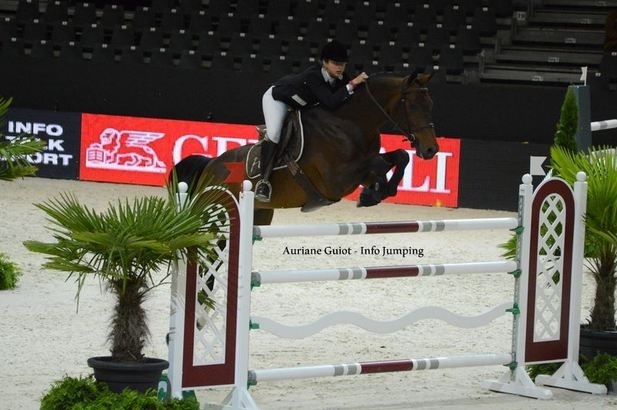 VIVALDI DU SEIGNEUR (Chellano Z x Darco), deux épreuves ce week-end, deux...