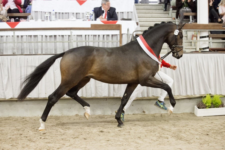 DON JUAN DE HUS encore et encore !