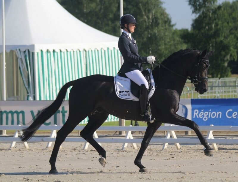 3 chevaux HUS sélectionnés pour les chpts du Monde de Dressage!
