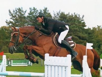 La souche dItot du Château en transfert au Haras de Hus