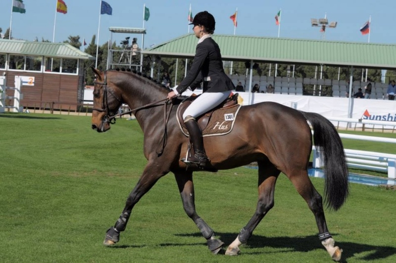 Excellent weekend for VIVALDI DU SEIGNEUR (Chellano Z x Darco)