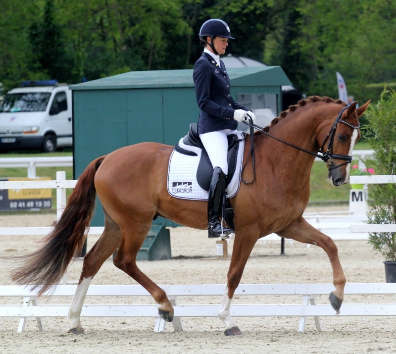 A succession of 80%s in Lion d'Angers