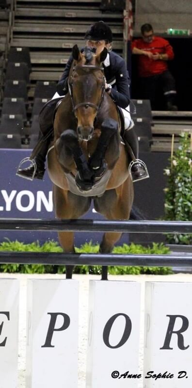 CSI à Lyon (69) - le Haras de Hus représenté par OH D'EOLE et VIVALDI DU SEIGNEUR