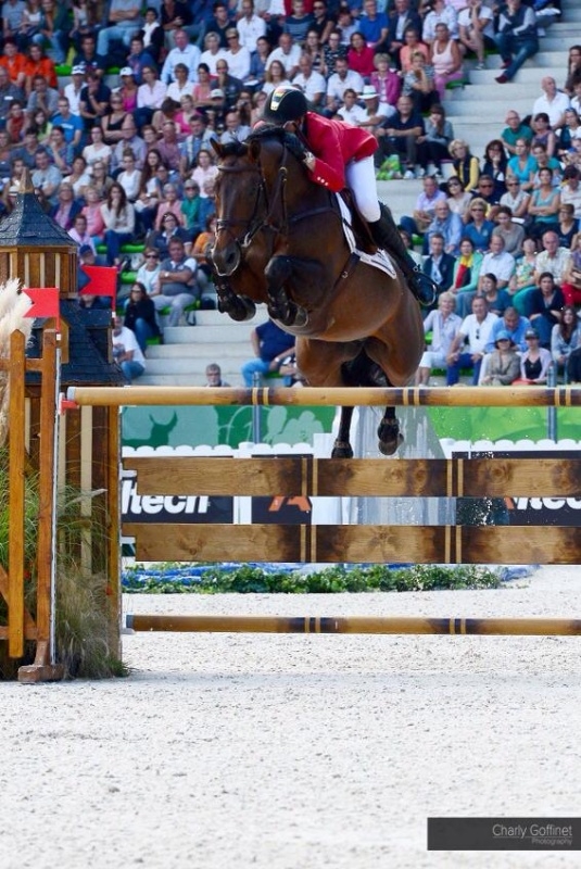 Excellente performance de CONRAD aux Jeux Equestres Mondiaux