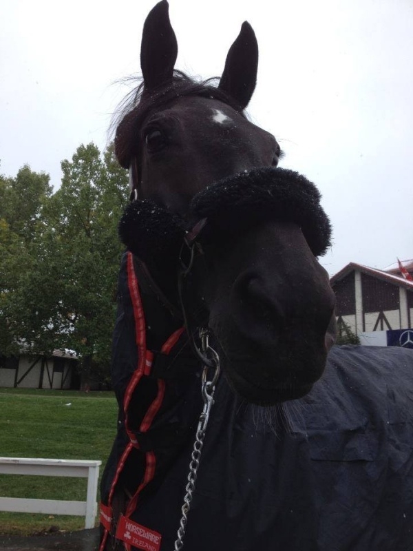 OH D'EOLE deux fois classée à Calgary !