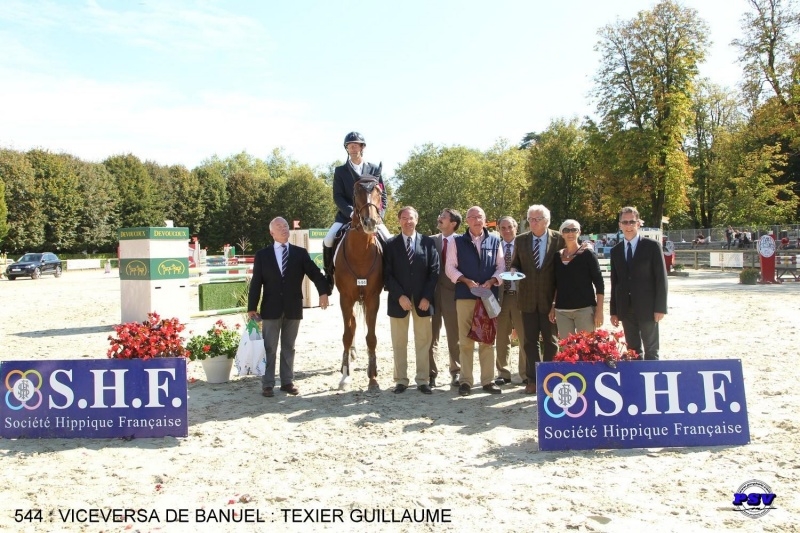 Grande Semaine de Pompadour 2014 : les produits de nos étalons s'affirment !