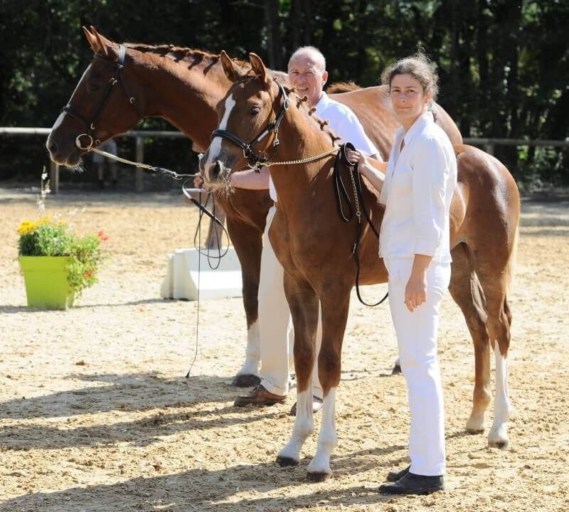 Grande Semaine de Saumur 2014 : Des foals aux 2/3 ans, nos étalons ont le...