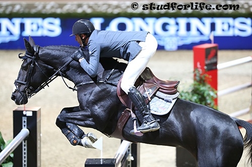 OH D'EOLE en forme au CSI 5* de Los Angeles