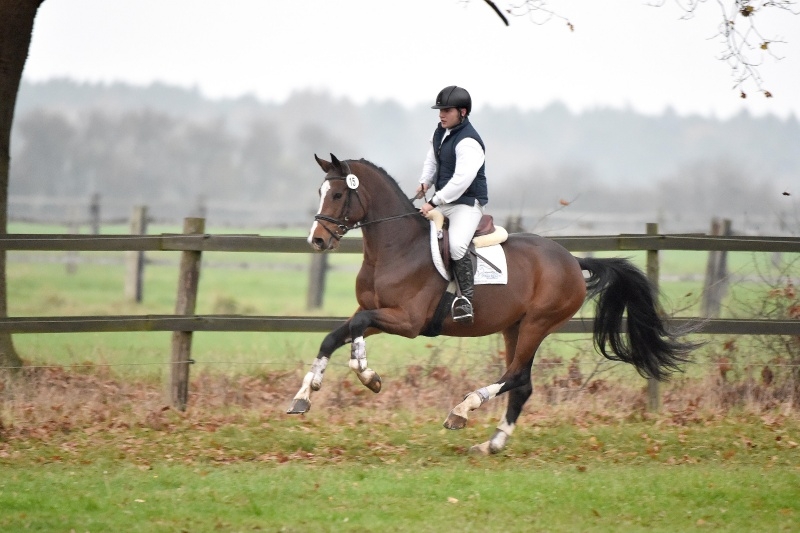 CASTING DE HUS 3ème du testage des 70j à Schlieckau