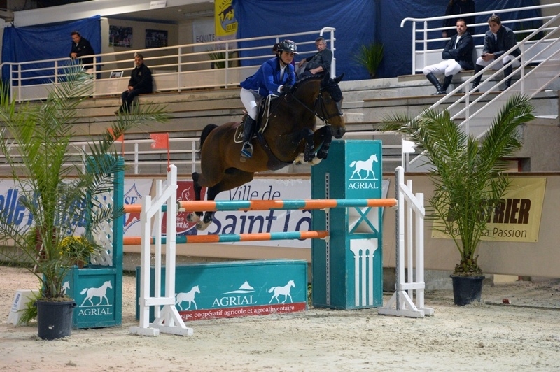 VIVALDI DU SIEGNEUR approuvé Selle Français !