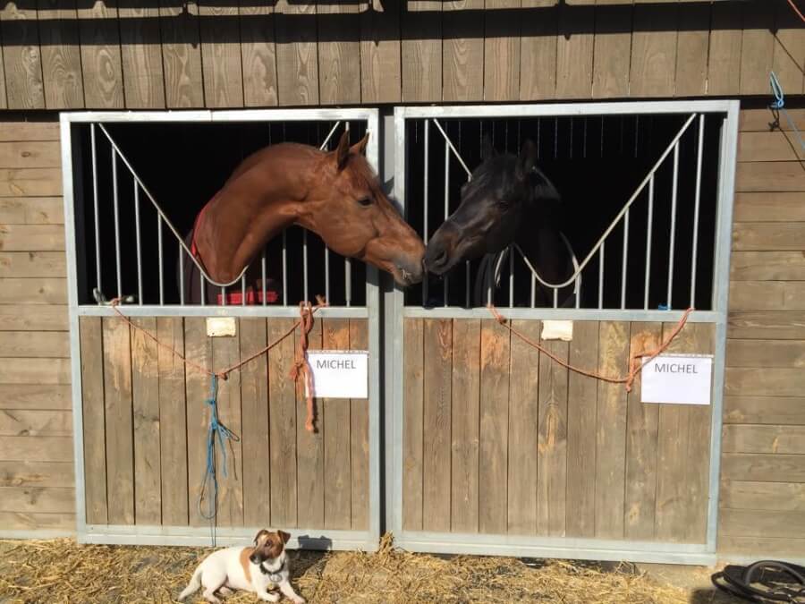 Jessica Michel-Botton en stage Fédéral au Mans !