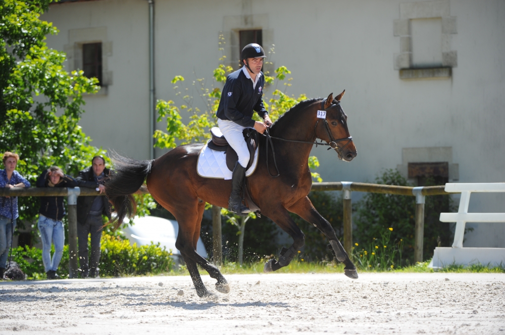 Neuf fils de CONRAD qualifiés pour le Championnat des Mâles Selle...