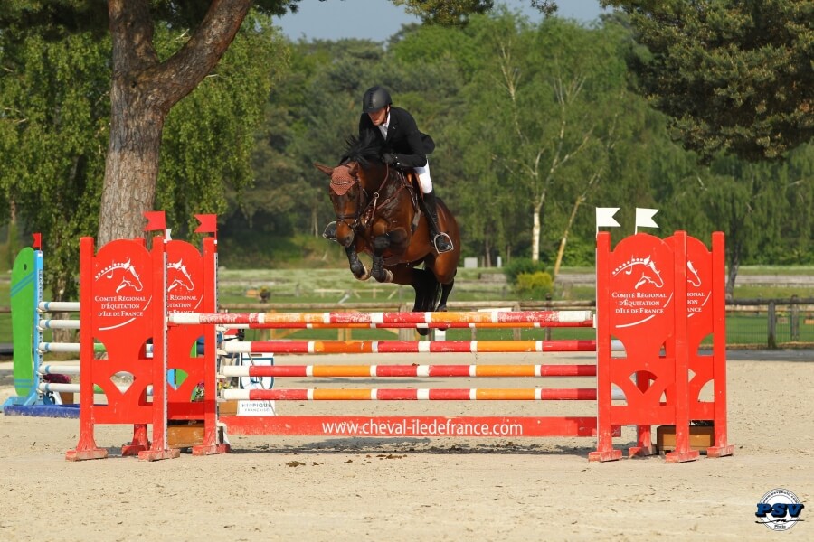 CHANCE DE HUS est toujours disponible à la reproduction