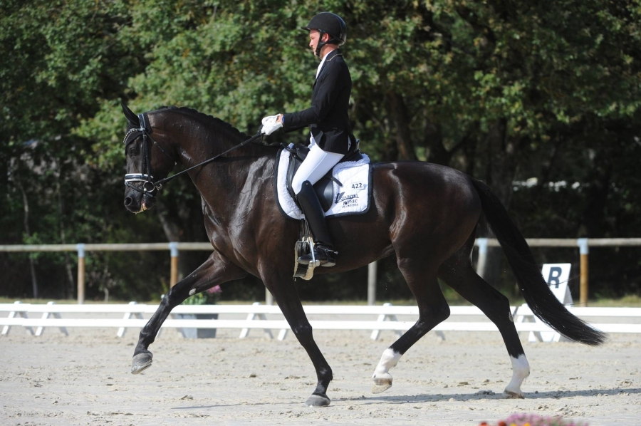 LA GRANDE SEMAINE DE  DON JUAN DE HUS