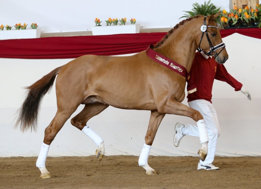 DON JUAN DE HUS encore et encore !