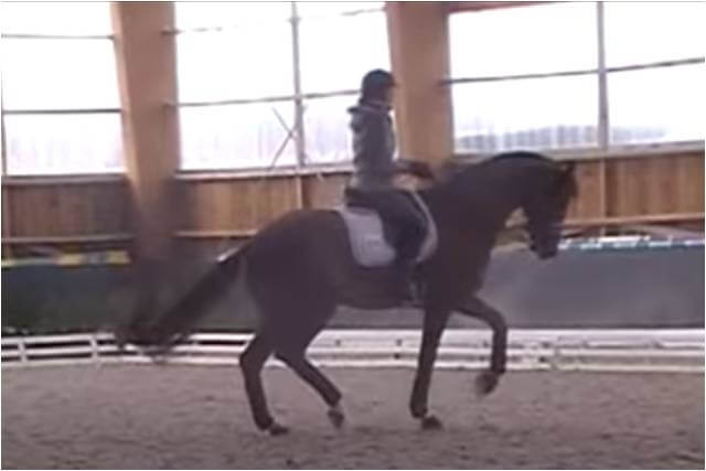 Des nouvelles de DON JUAN DE HUS !