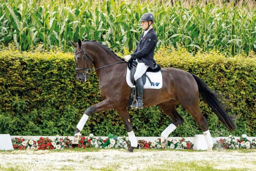 LES PRODUITS DE DON JUAN FONT ENCORE PARLER D'EUX