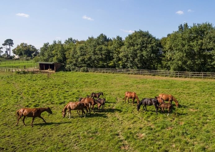 LE HARAS DE HUS recherche deux personnes en CDI !