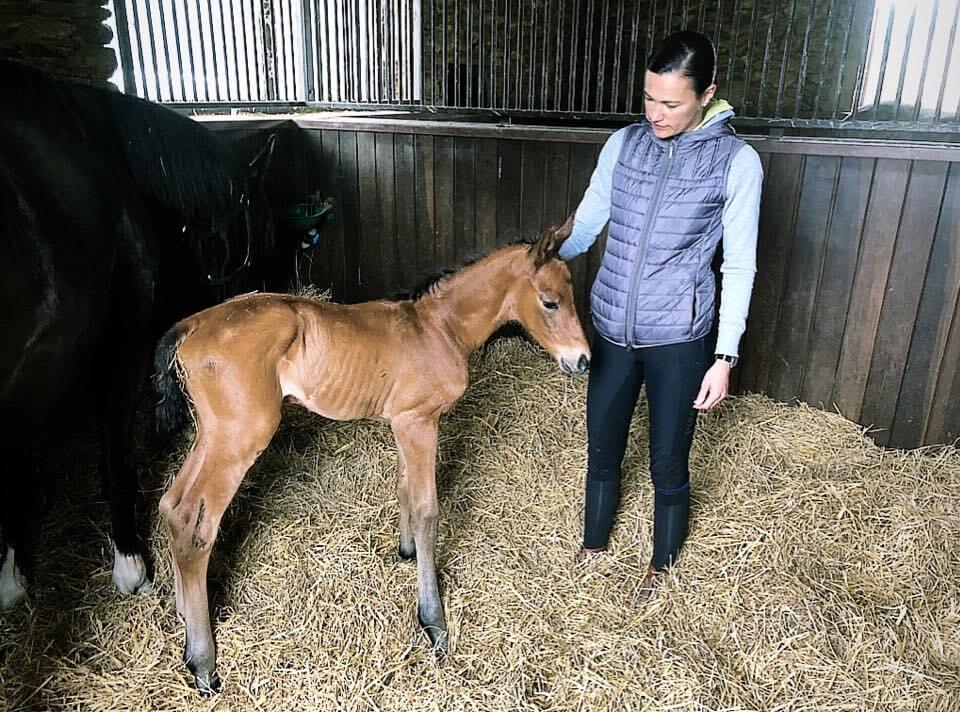 Un petit champion est né !