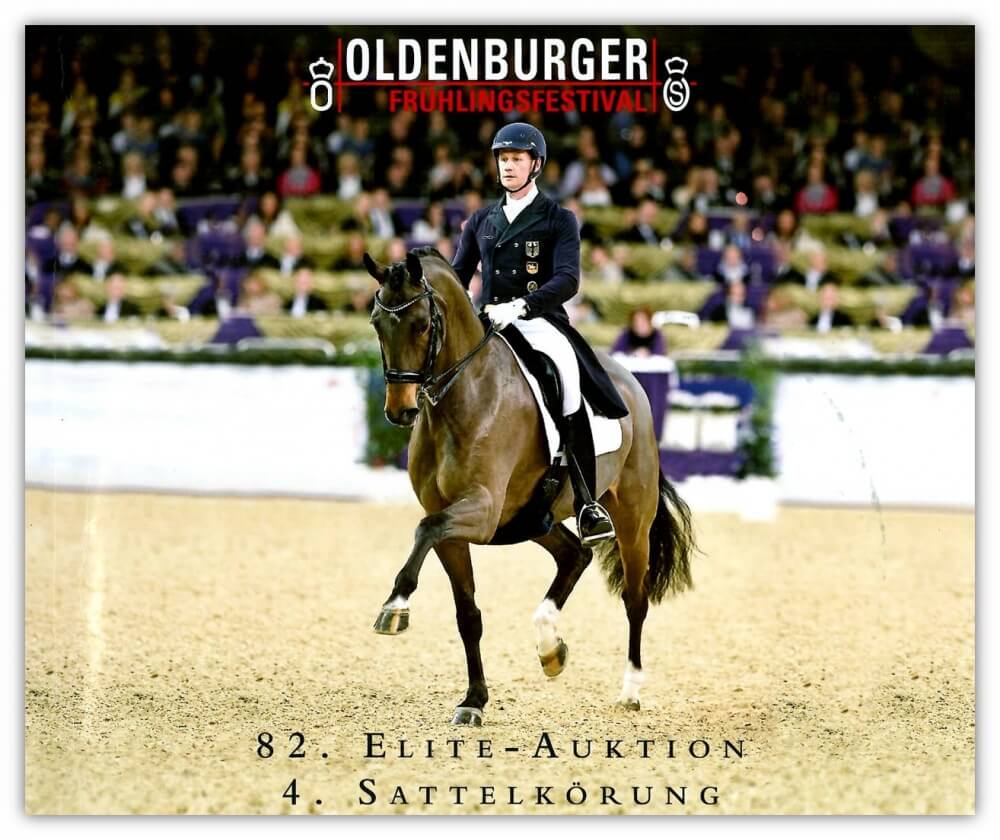 La star des ventes Oldenbourg née dans un élevage français : le Haras de...