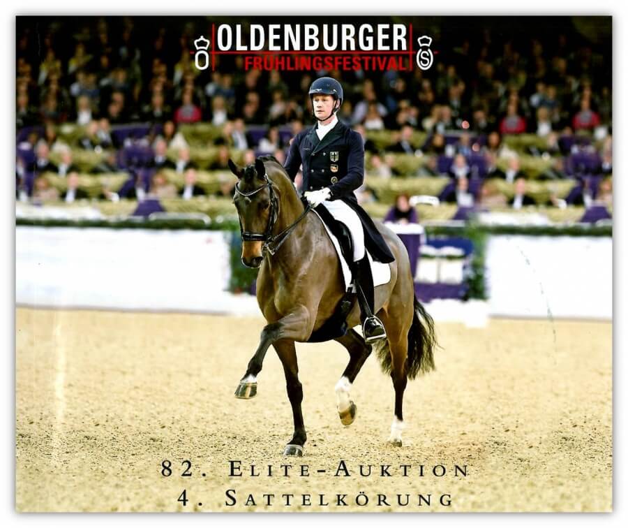 La star des ventes Oldenbourg née dans un élevage français : le Haras de Hus !