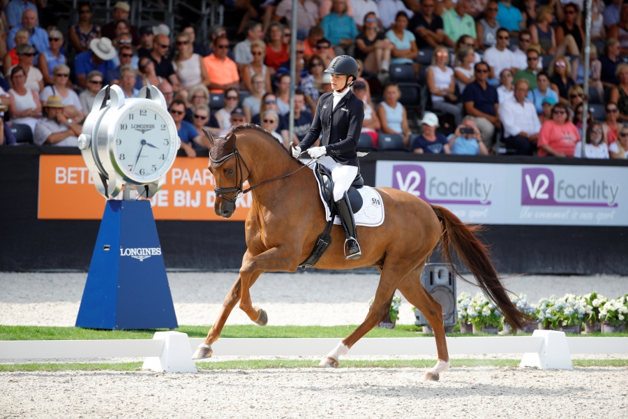 DORIAN GREY DE HUS sélectionné par l'Eperon pour l'élection du cheval de l'année 2019 !