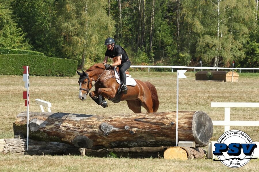 ELDORADO DE HUS, père de Champion