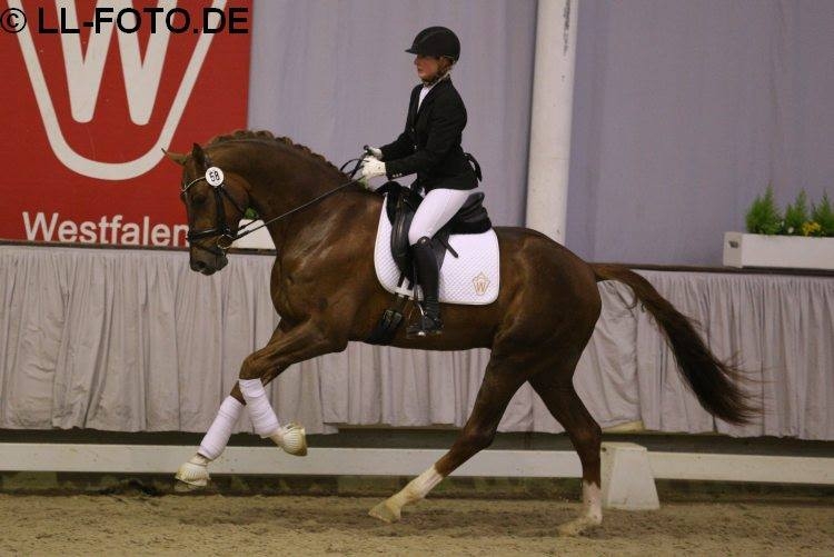 Un nouveau fils de DON JUAN DE HUS approuvé !