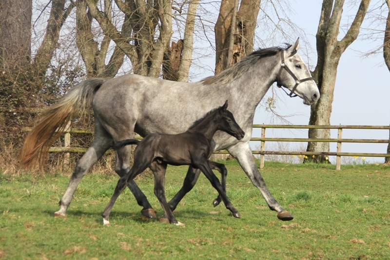 Tops naissances en mars !