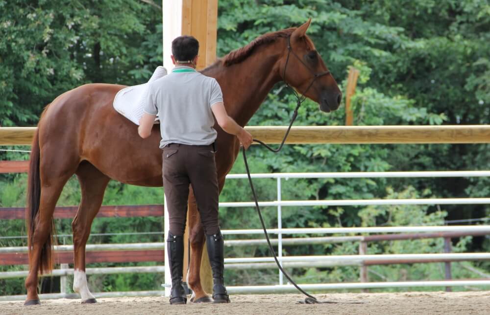 Formation par Sébatien Jaulin