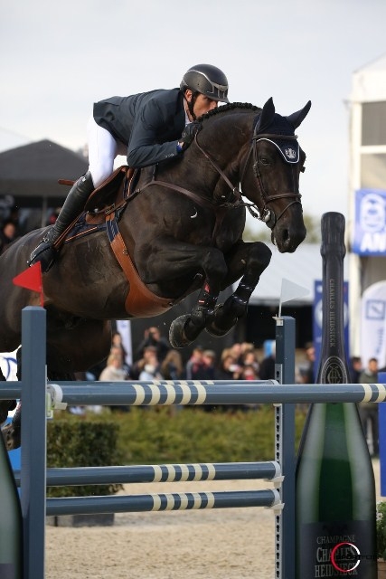IRON MAN VAN DE PADENBORRE 2ème lors du CSI2* d'Opglabbeek !