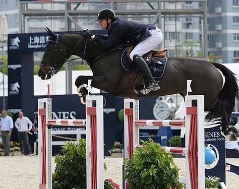 Deux de nos juments dans le top 10 des meilleures poulinières de saut...