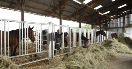 DERNIER MOIS POUR IMPLANTER VOS EMBRYONS !