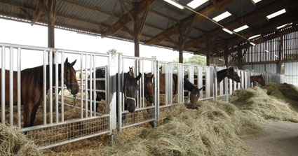 DERNIER MOIS POUR IMPLANTER VOS EMBRYONS !