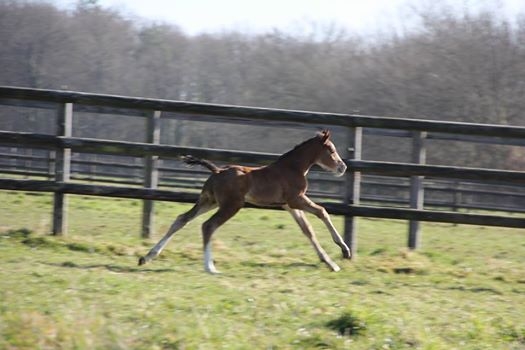 Les naissances 2015 sont lancées !