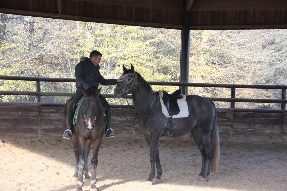 Sébastien Jaulin et Robyn Arnold partent rejoindre leur propre structure !