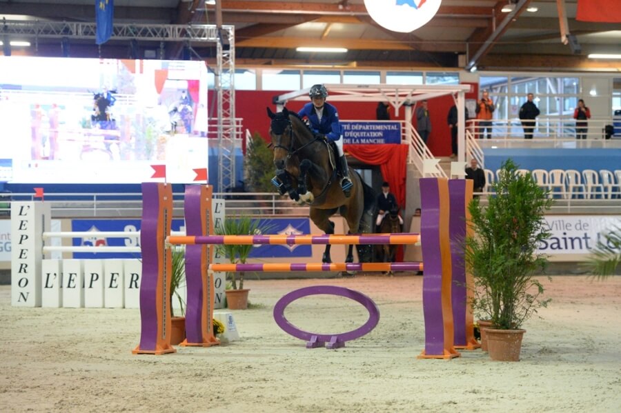 Le Haras de Hus au Salon des étalons de Saint-Lô !