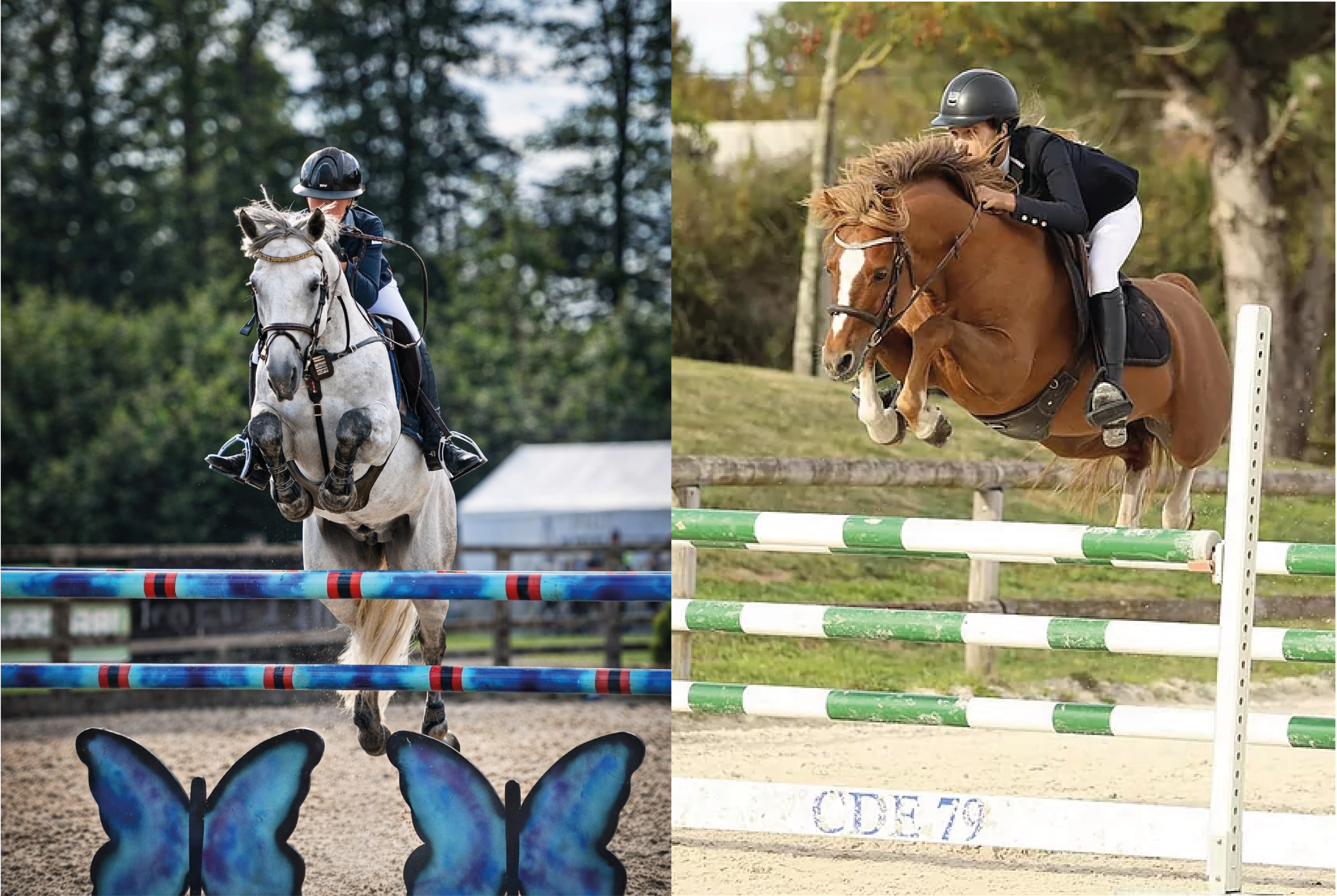 Vox Pop de l'Aulne et Foly Star de Florys