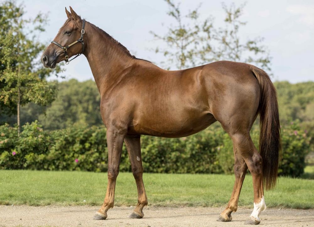 VALENCIA DE HUS Z 3 ANS