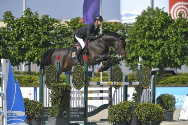 Photo de 1 UMALI Z X PEGASE VAN'T RUYTERSHOF