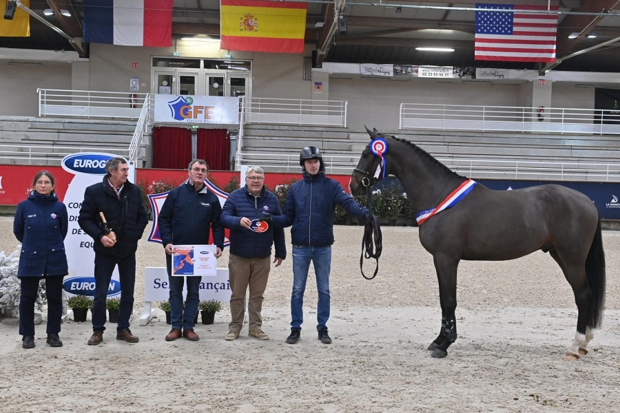 KENTUCKY DE HUS approuvé étalon !