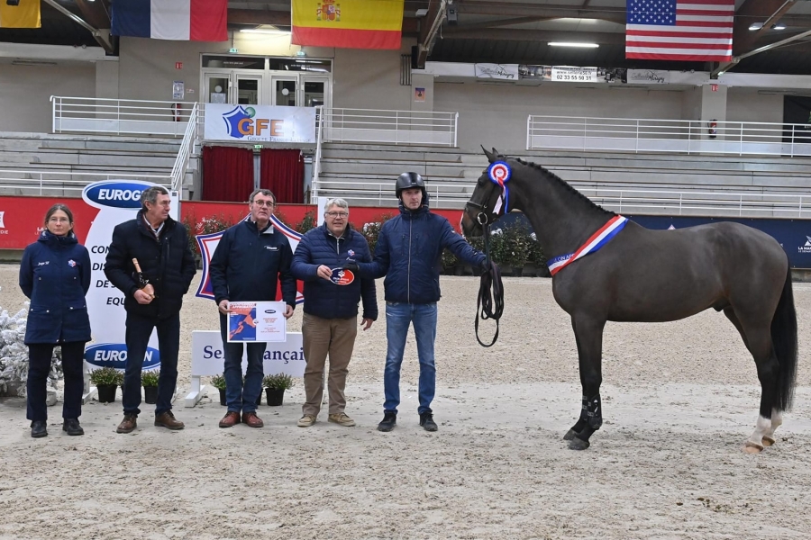 KENTUCKY DE HUS approved stallion!