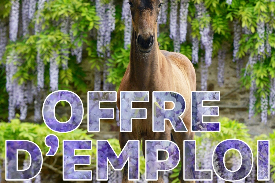 Offre d’emploi : Secrétaire / Standardiste H/F