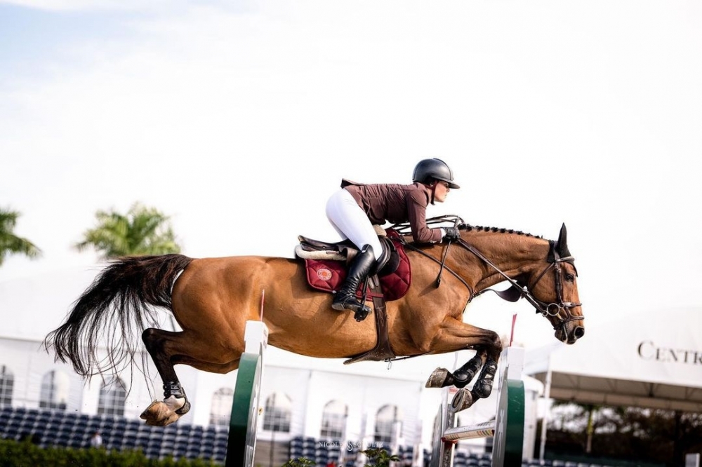FALCON DE HUS Z et C. Connors classés à nouveau en CSI 3* !