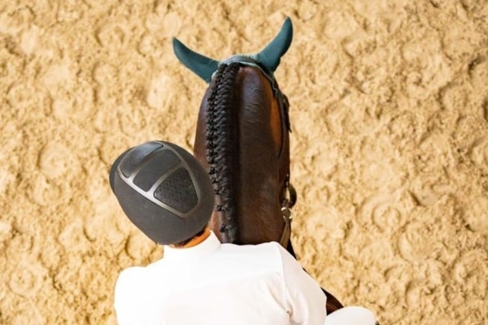 Encore un classement pour VALENTINO DE HUS Z