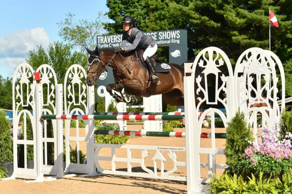 ? Les chevaux Hus brillent sur le continent américain !