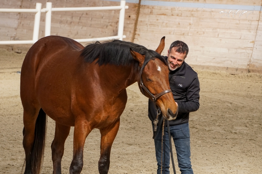 Il y a quelques semaines, Sebastien Jaulin se rendait à l’IENA  Avenches pour deux jours de workshop consacrés à l'apprentissage des jeunes chevaux.