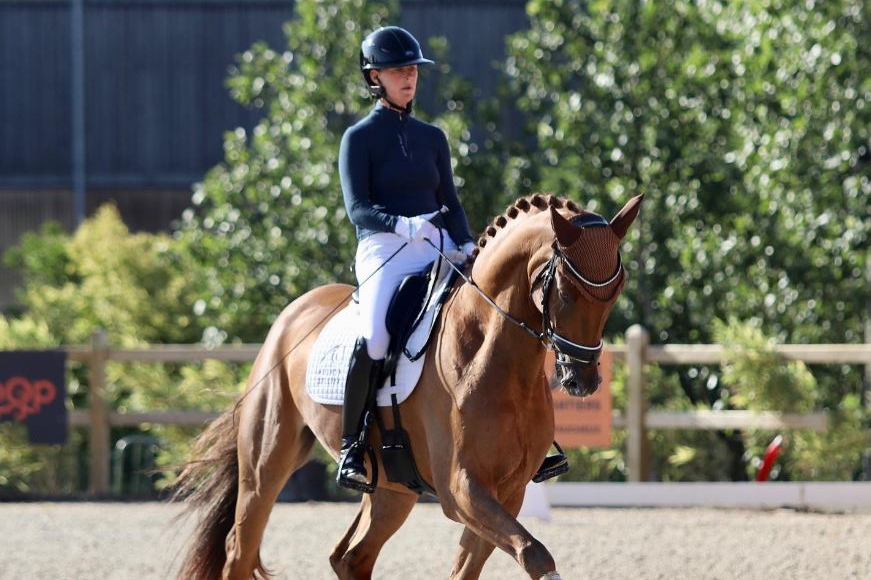 La génétique de Don Juan de Hus dans la sélection pour les Championnats...